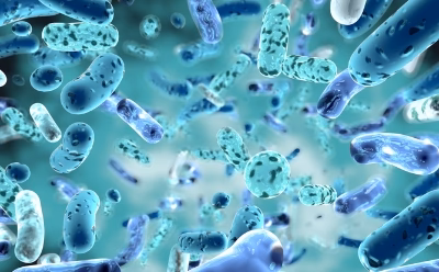 Bifidobacterium infantis